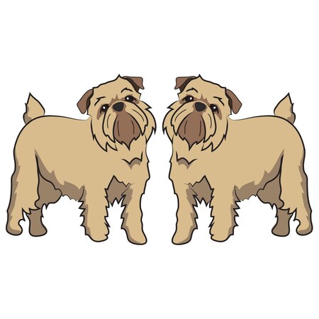 Signmission Brussel Griffon Dog Decal, Dog Lover Decor Vinyl Sticker D-24-Brussel Griffon